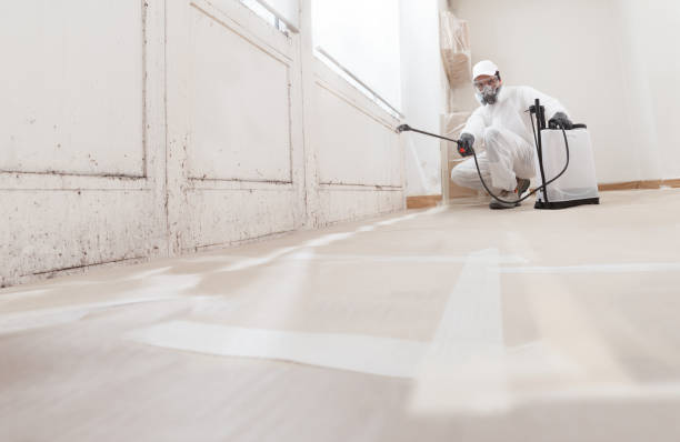 24/7 Emergency Mold Testing experts in Dimondale, MI