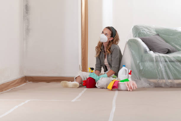 Reliable Mold Testing contractor in Dimondale, MI by WQB Mold Removal